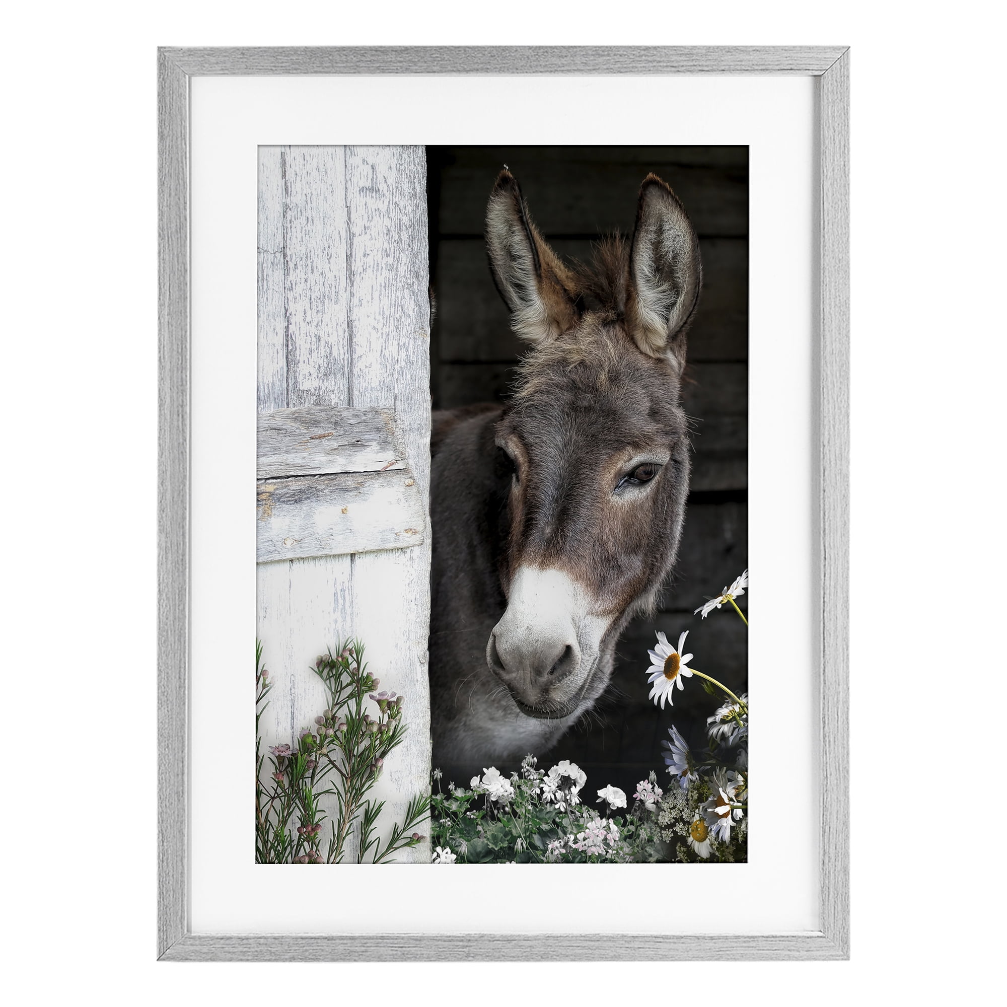 Stupell Industries Gentle Donkey Peering from Barn Gray Framed Print Under Glass, design by CAD Designs