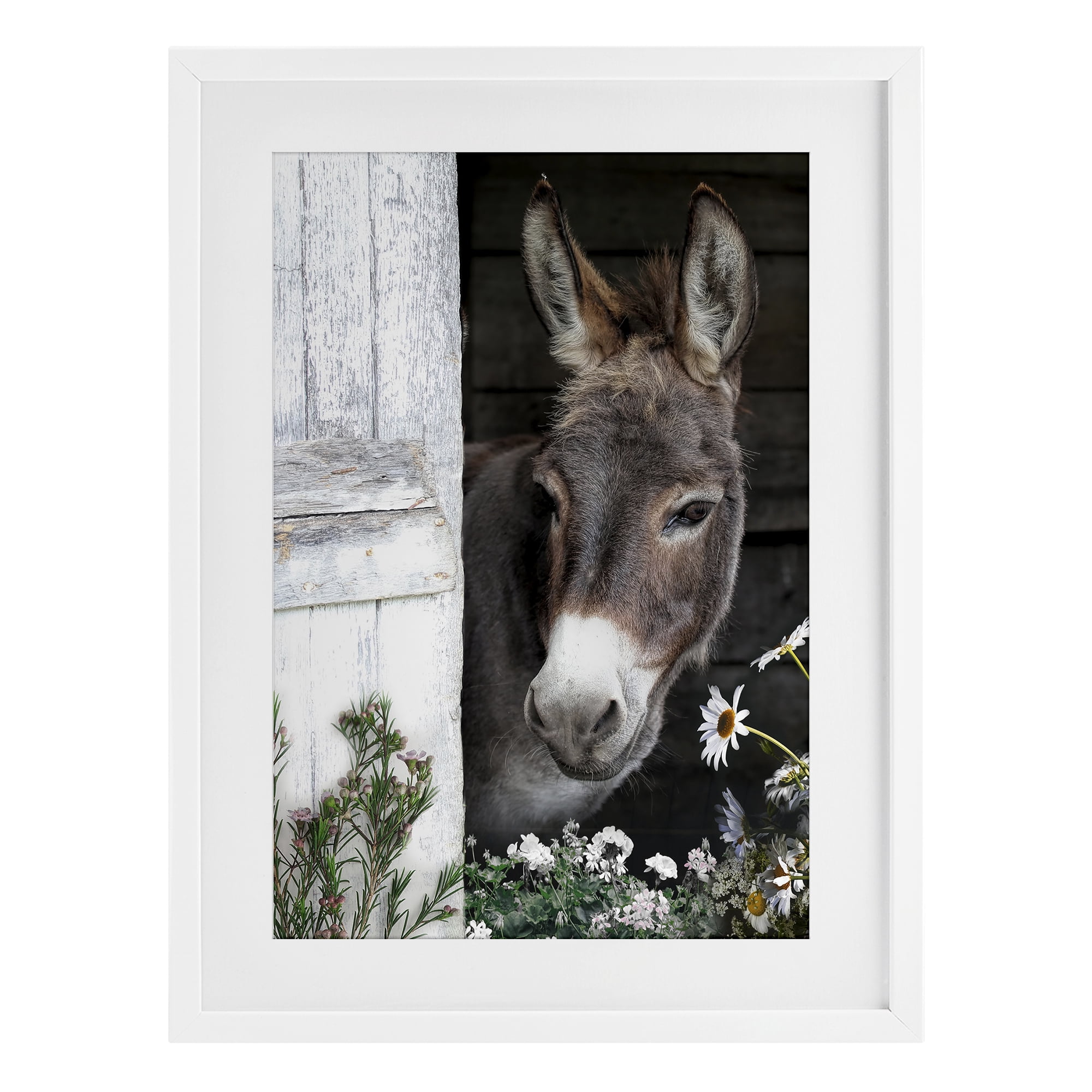 Stupell Industries Gentle Donkey Peering from Barn White Framed Print Under Glass, design by CAD Designs