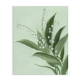 thumbnail image 1 of Stupell Industries Gentle Lily of Valley Canvas Wall Art, design by Grace Popp, 1 of 8