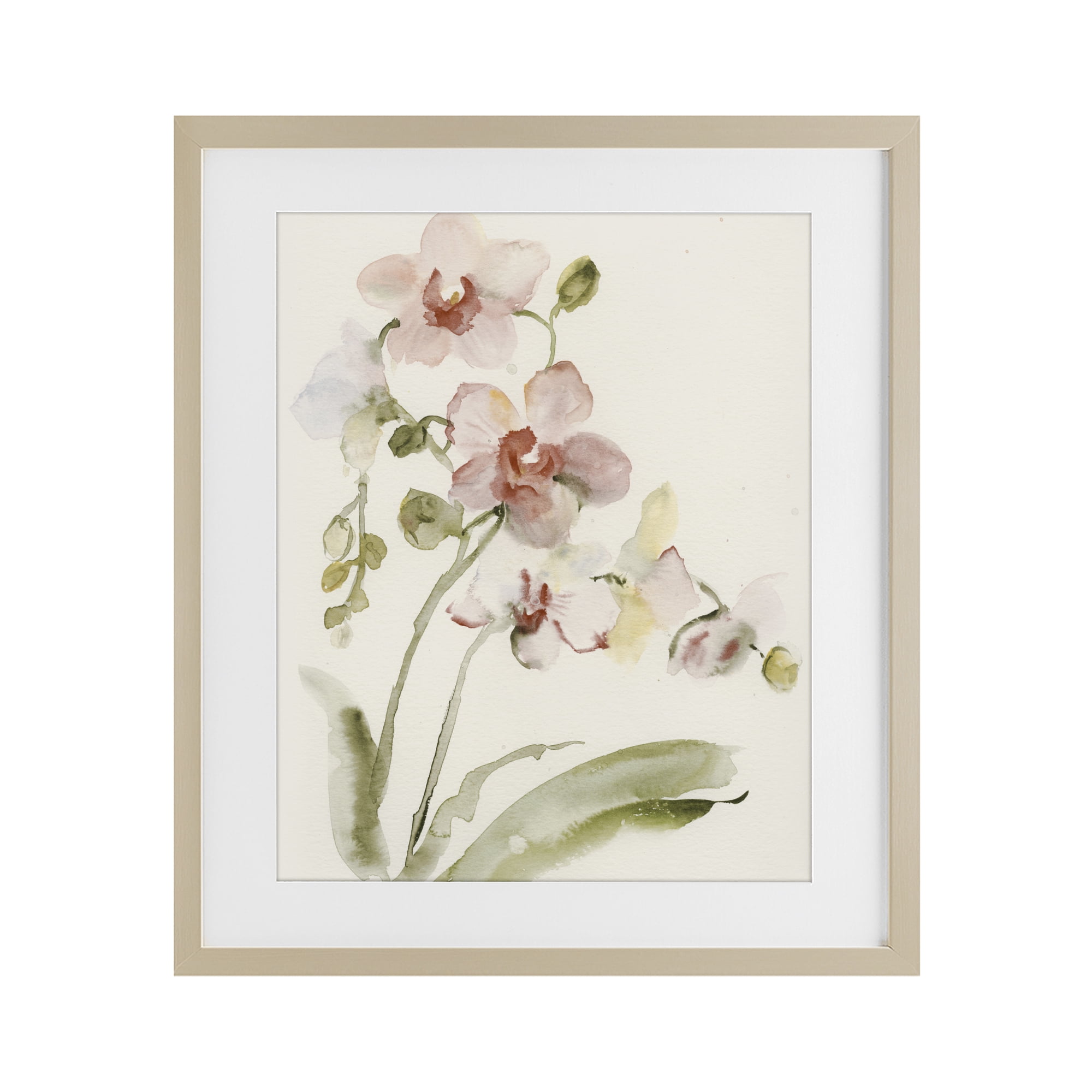 Stupell Industries Gentle Pink Orchid in Bloom Birch Framed Print Under Glass, design by Victoria Barnes