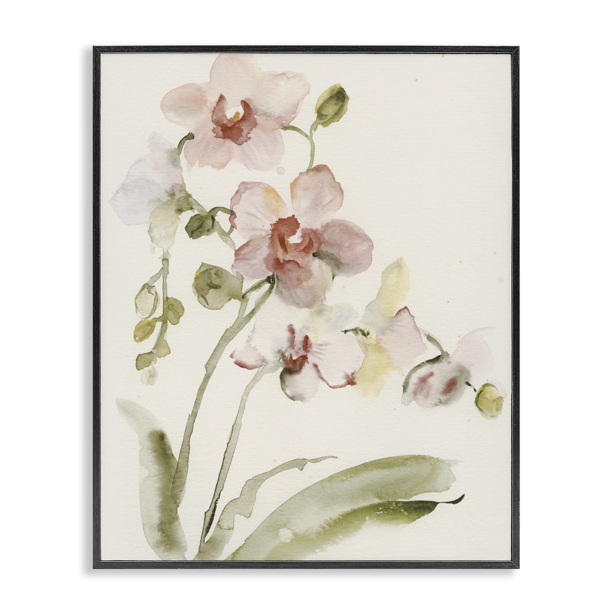 Stupell Industries Gentle Pink Orchid in Bloom Black Framed Giclee Art, design by Victoria Barnes