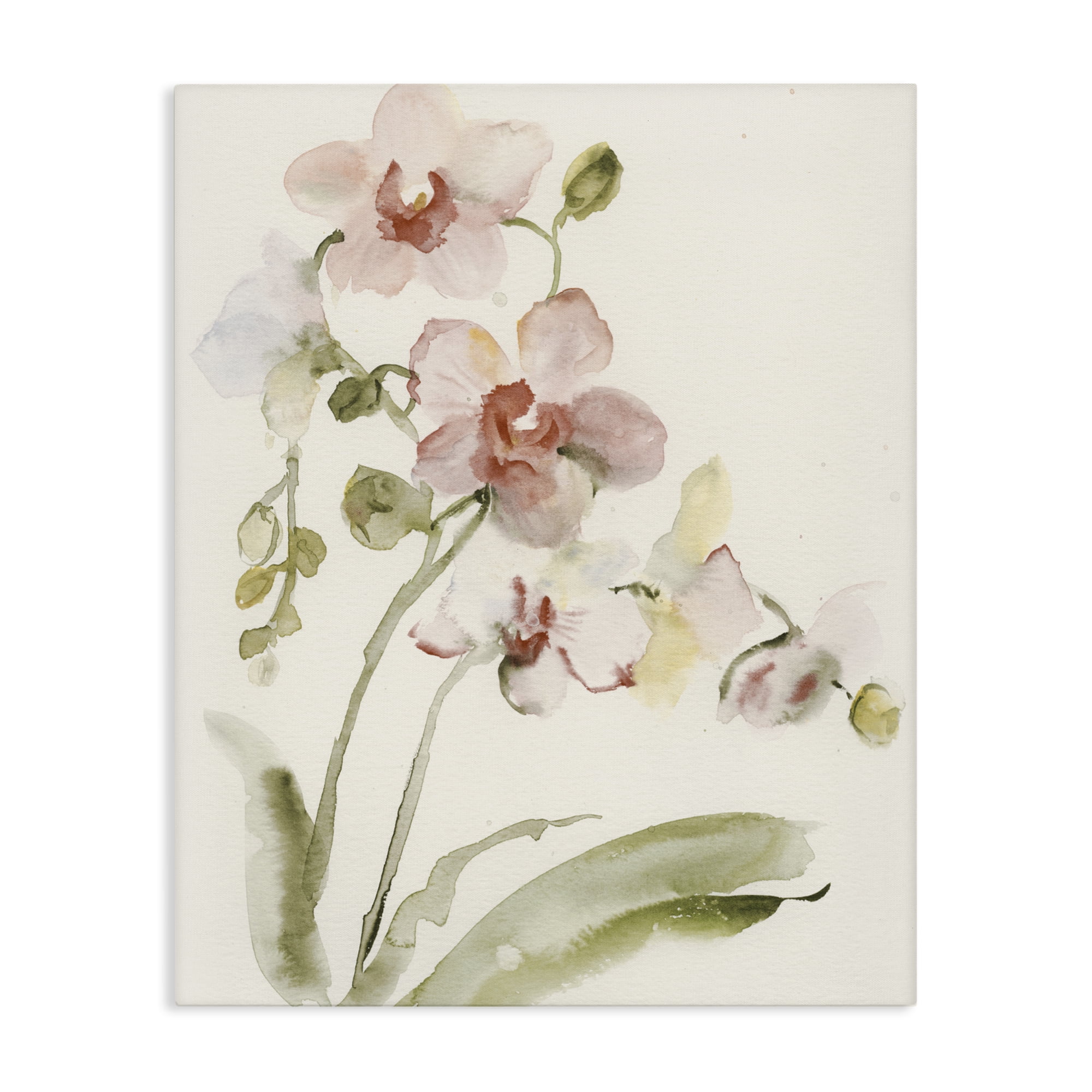 Stupell Industries Gentle Pink Orchid in Bloom Canvas Wall Art, design by Victoria Barnes
