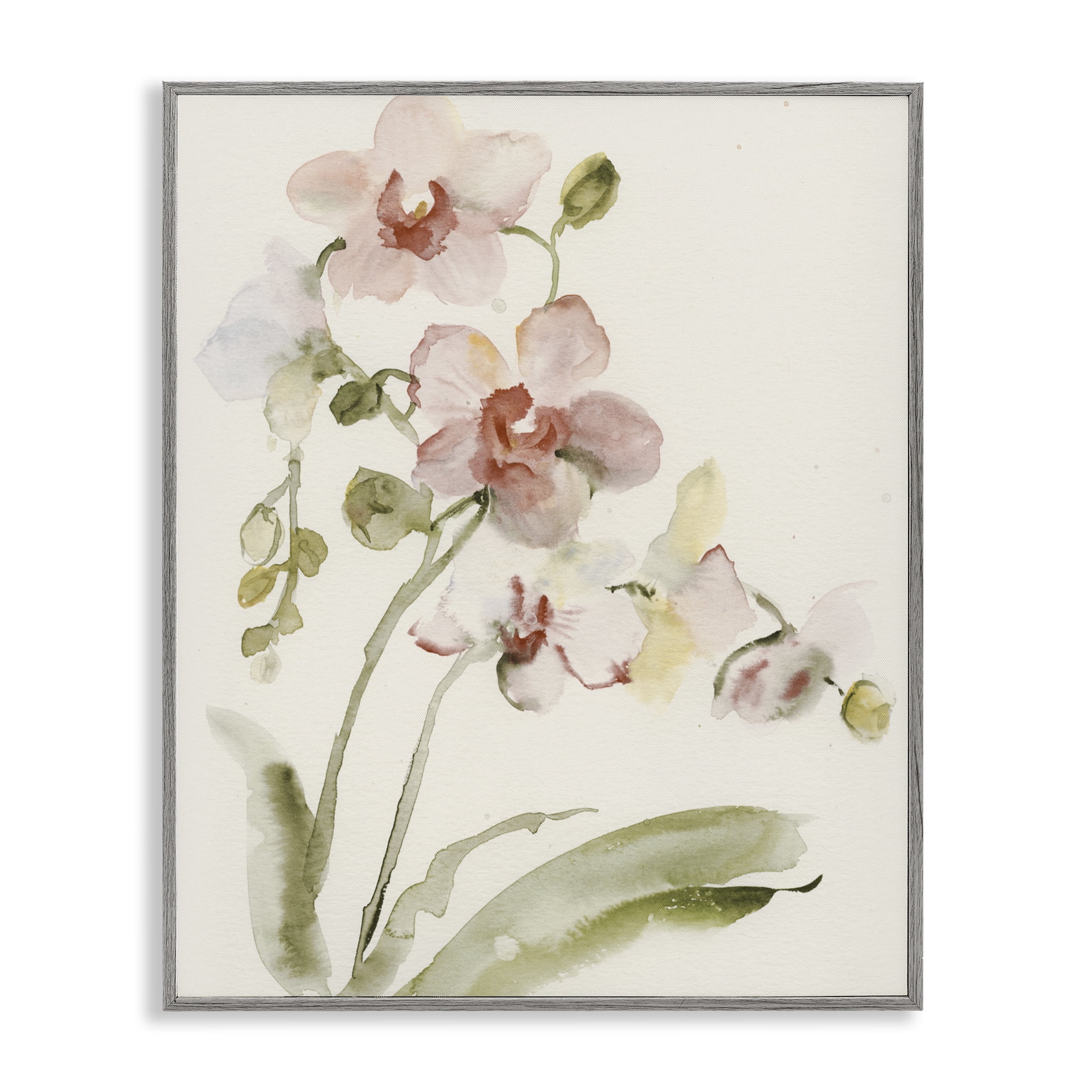 Stupell Industries Gentle Pink Orchid in Bloom Gray Framed Giclee Art, design by Victoria Barnes