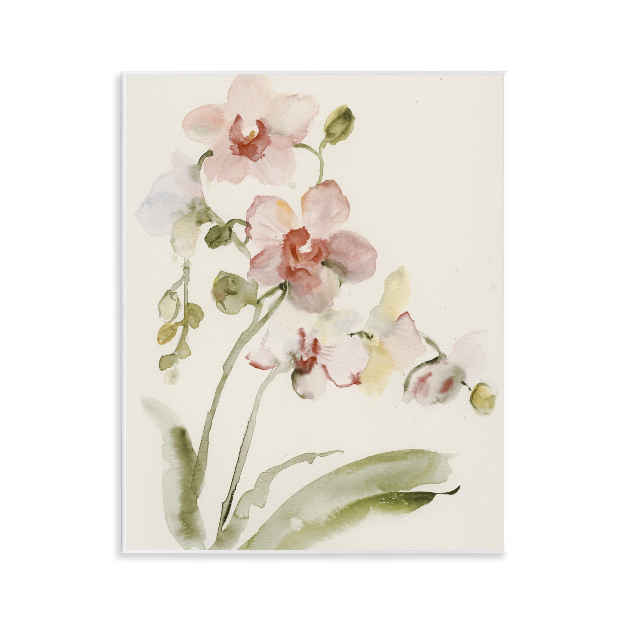Stupell Industries Gentle Pink Orchid in Bloom Wall Plaque Art, design by Victoria Barnes