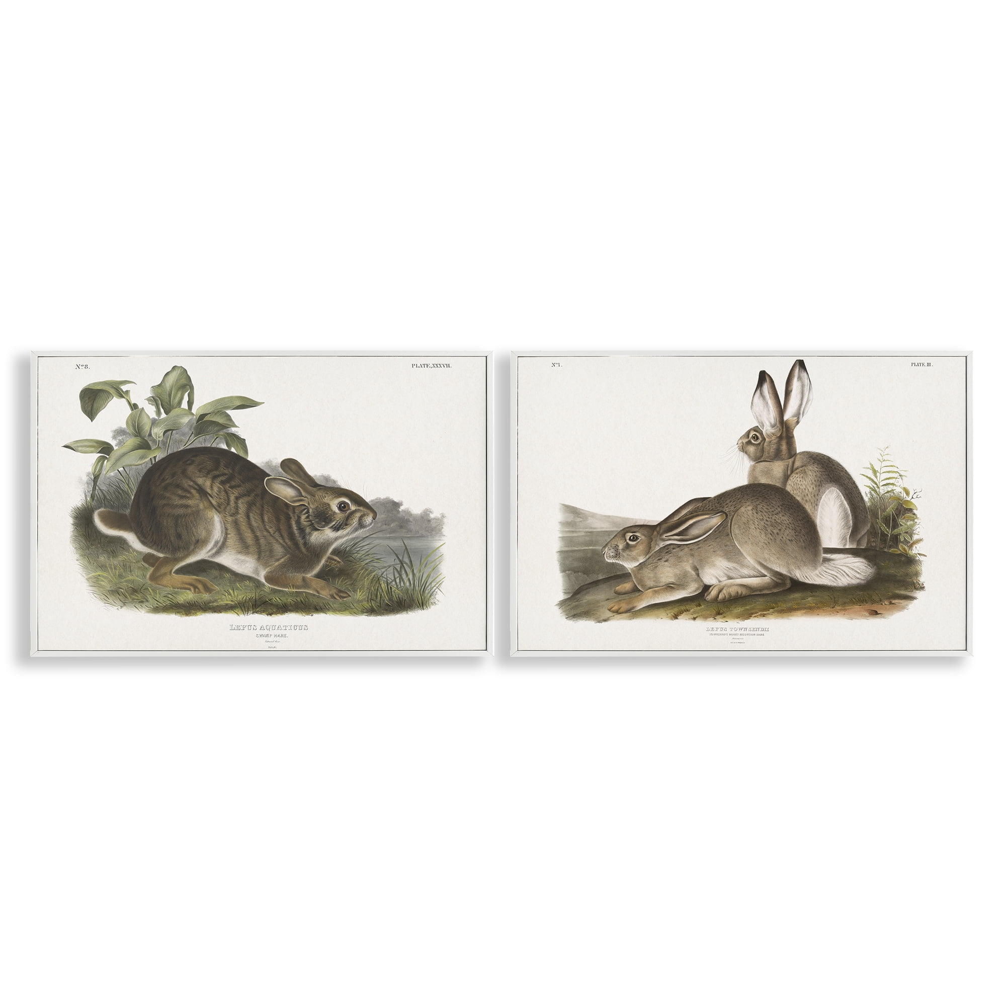 Stupell Industries Gentle Resting Cottage Rabbit Animals Painting White Framed Art Print Wall Art, 30 x 20, Set of 2