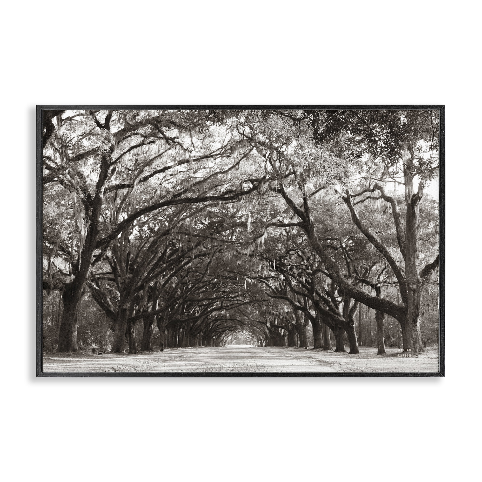 Stupell Industries Georgia Stroll Tree Tunnel Black Framed Giclee Art, design by Nathan Larson