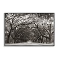 thumbnail image 1 of Stupell Industries Traditional Georgia Stroll Tree Tunnel Black Framed Giclee Art, 18 x 12, by Nathan Larson, 1 of 6