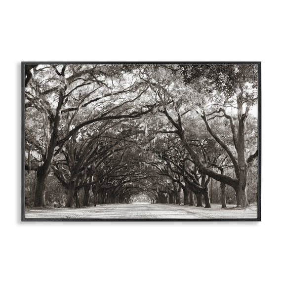 Stupell Industries Traditional Georgia Stroll Tree Tunnel Black Framed Giclee Art, 18 x 12, by Nathan Larson
