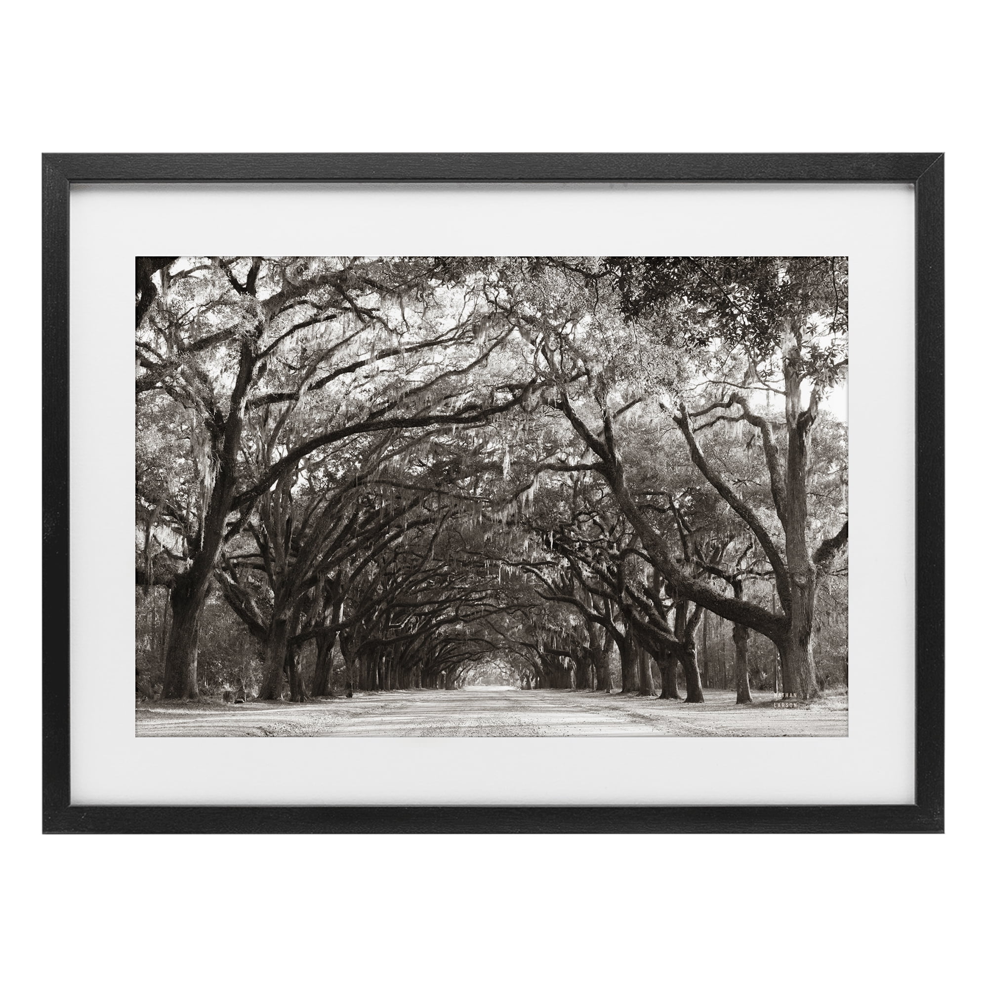 Stupell Industries Georgia Stroll Tree Tunnel Black Framed Print Under Glass, design by Nathan Larson