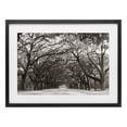thumbnail image 1 of Stupell Industries Traditional Georgia Stroll Tree Tunnel Black Framed Print Under Glass, 20 x 14, by Nathan Larson, 1 of 8