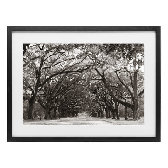Stupell Industries Traditional Georgia Stroll Tree Tunnel Black Framed Print Under Glass, 20 x 14, by Nathan Larson