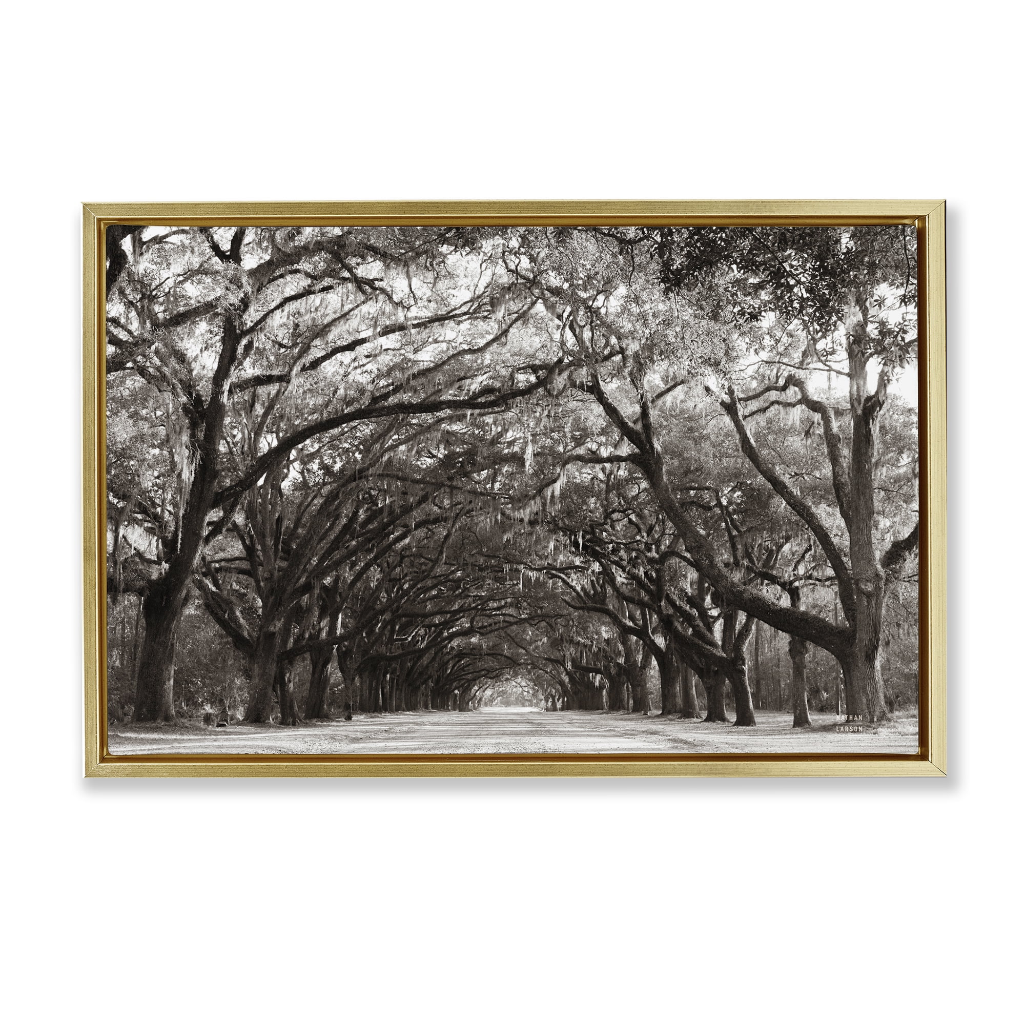 Stupell Industries Georgia Stroll Tree Tunnel Gold Framed Floater Canvas Wall Art, design by Nathan Larson