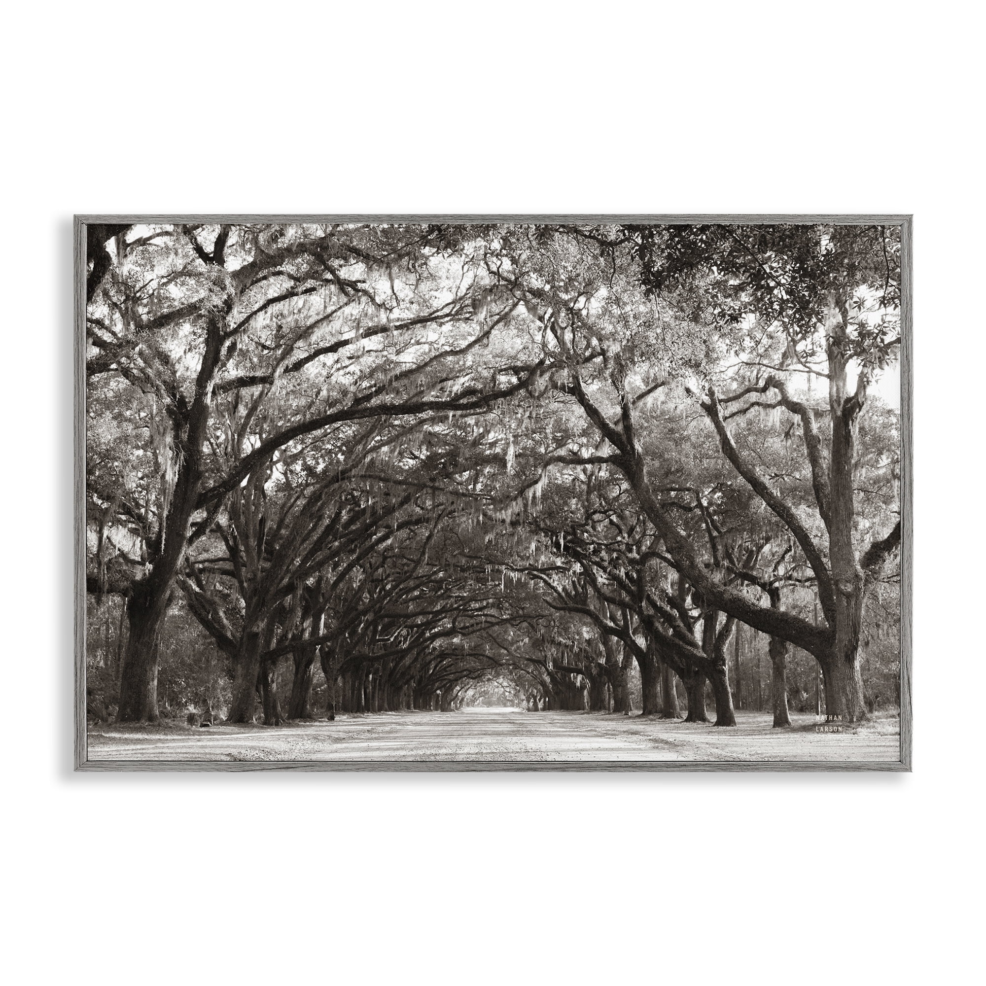 Stupell Industries Georgia Stroll Tree Tunnel Gray Framed Giclee Art, design by Nathan Larson