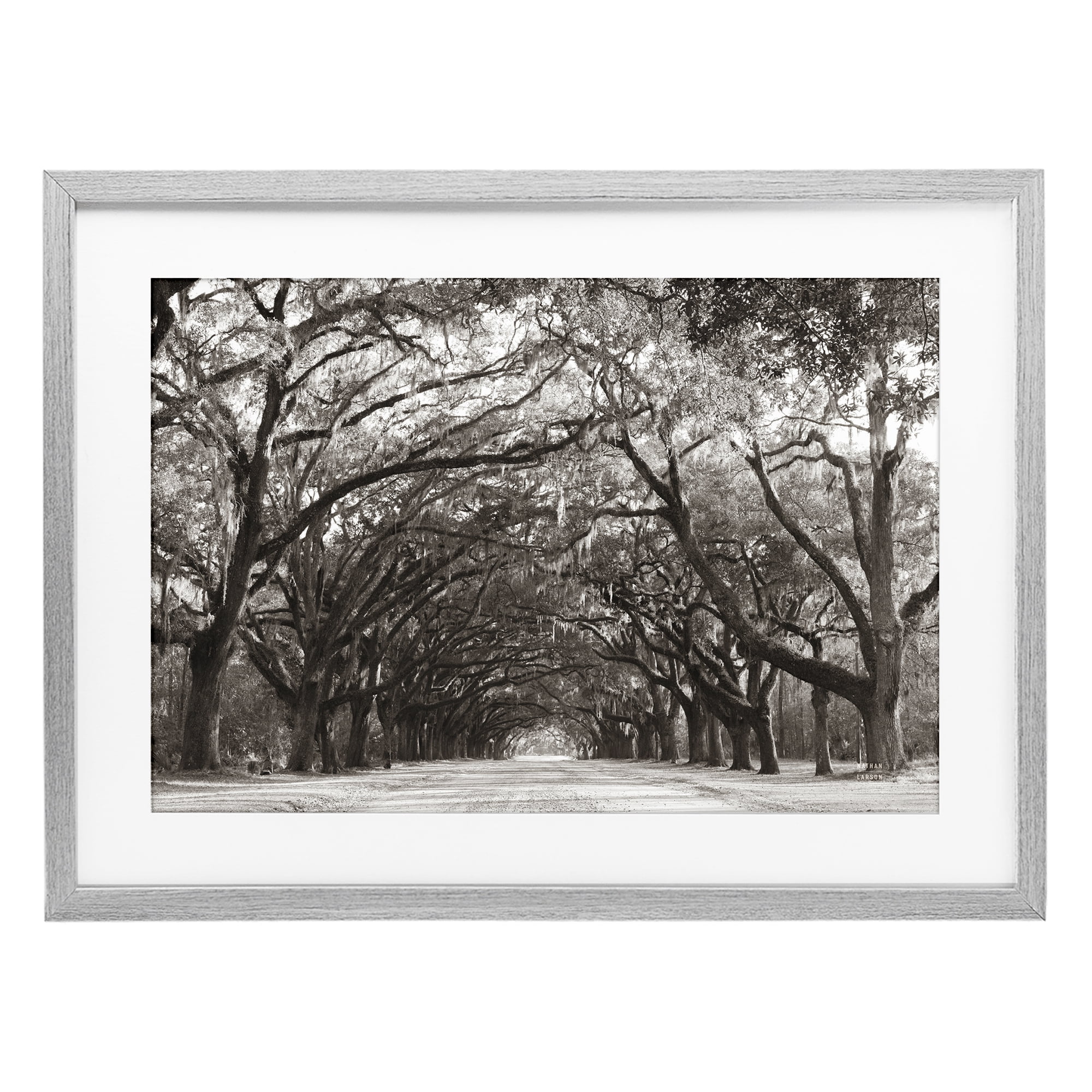 Stupell Industries Georgia Stroll Tree Tunnel Gray Framed Print Under Glass, design by Nathan Larson