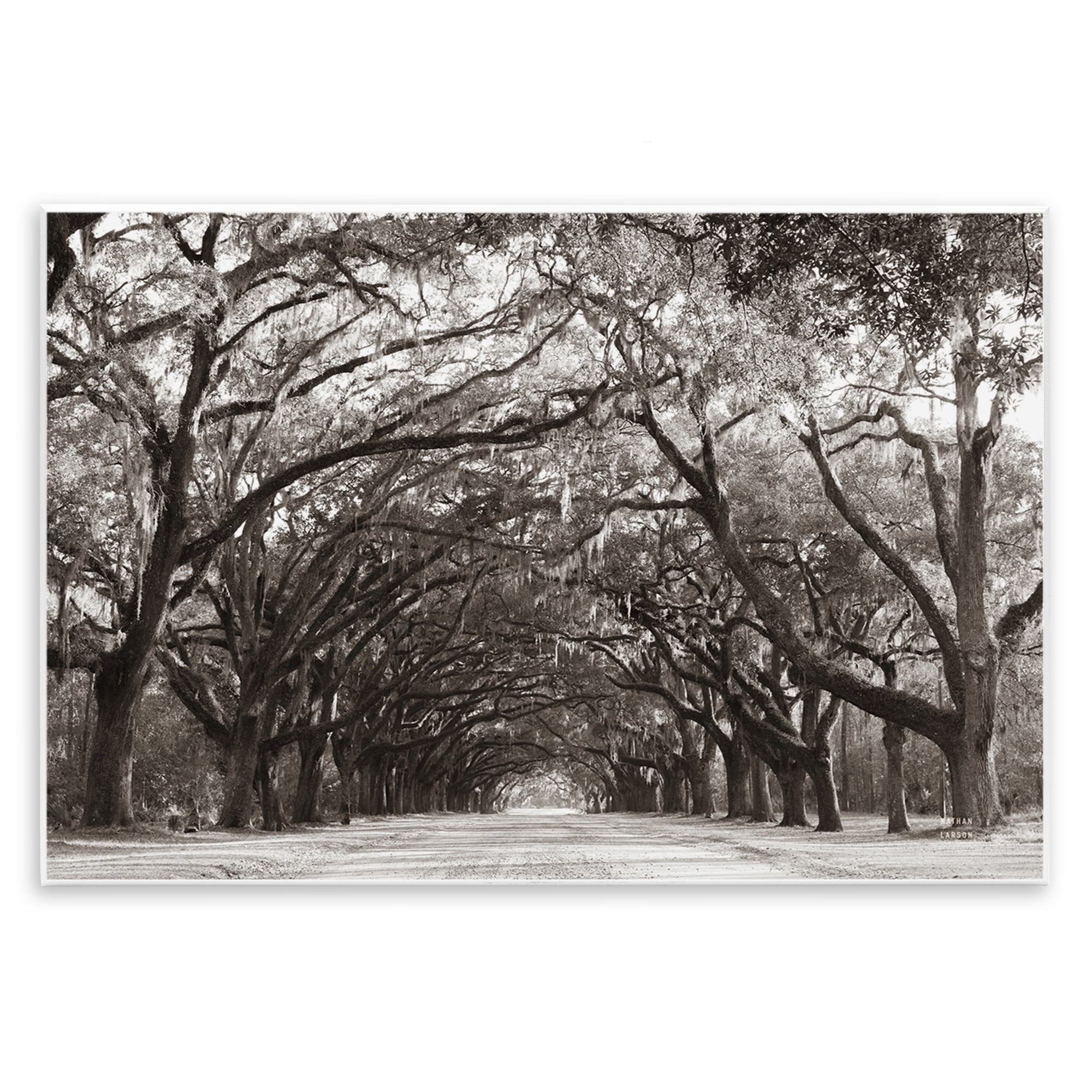 Stupell Industries Georgia Stroll Tree Tunnel Wall Plaque Art, design by Nathan Larson