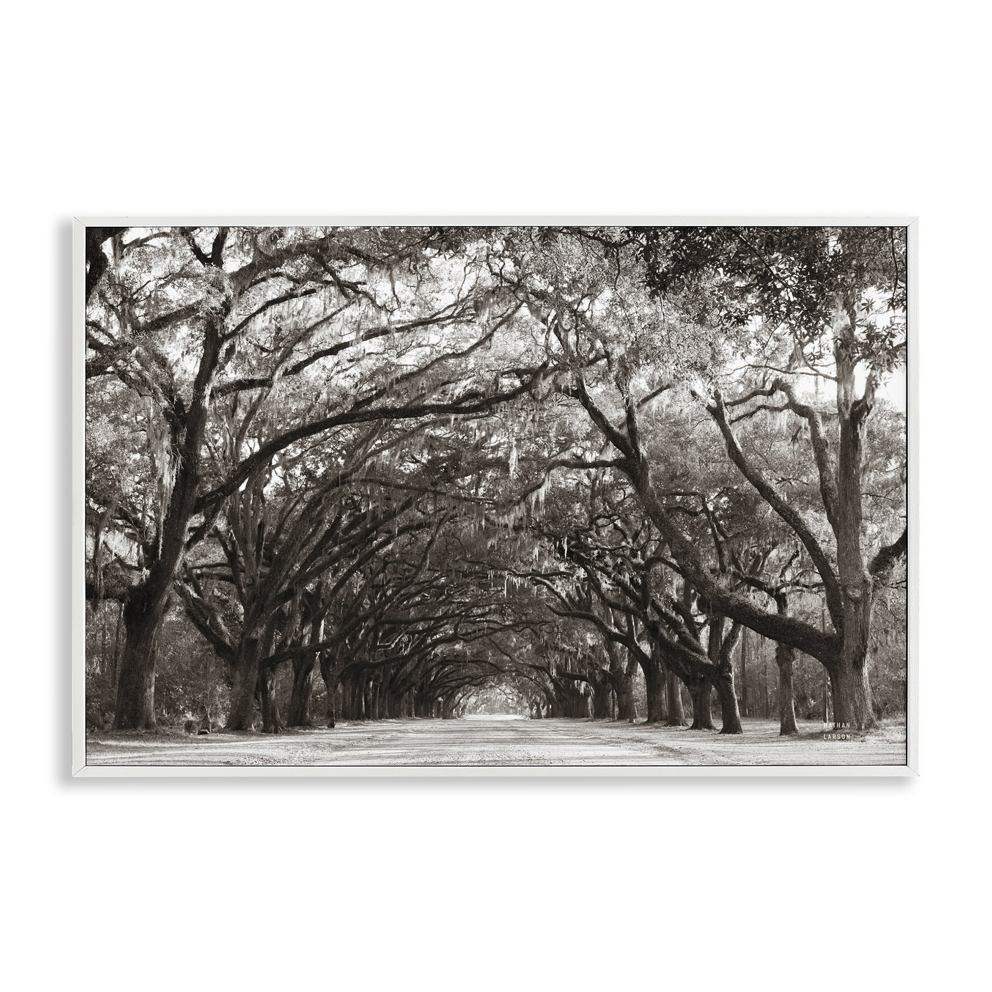 Stupell Industries Georgia Stroll Tree Tunnel White Framed Giclee Art, design by Nathan Larson