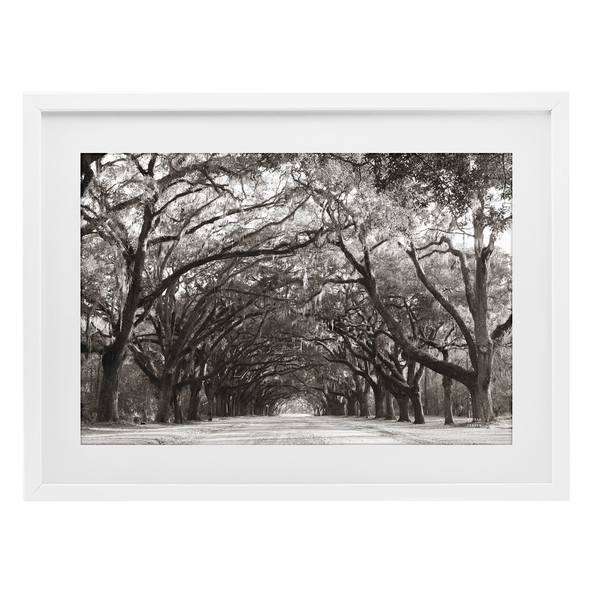 Stupell Industries Georgia Stroll Tree Tunnel White Framed Print Under Glass, design by Nathan Larson