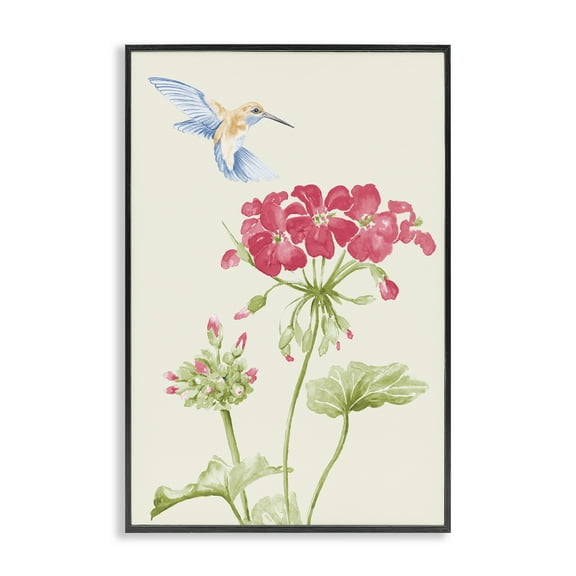 Stupell Industries Geraniums & Hummingbird Botanical & Floral Painting Black Framed Art Print Wall Art, 12 x 18