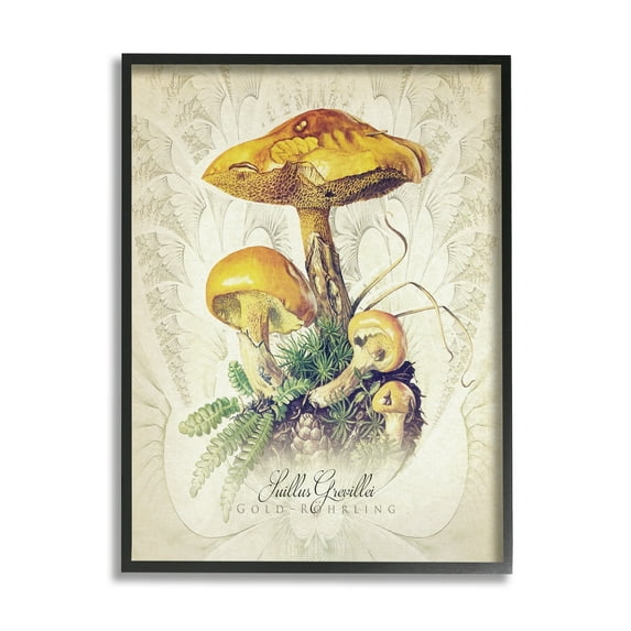 Stupell Industries German Scientific Mushroom Study Botanical & Floral Painting Black Framed Art Print Wall Art