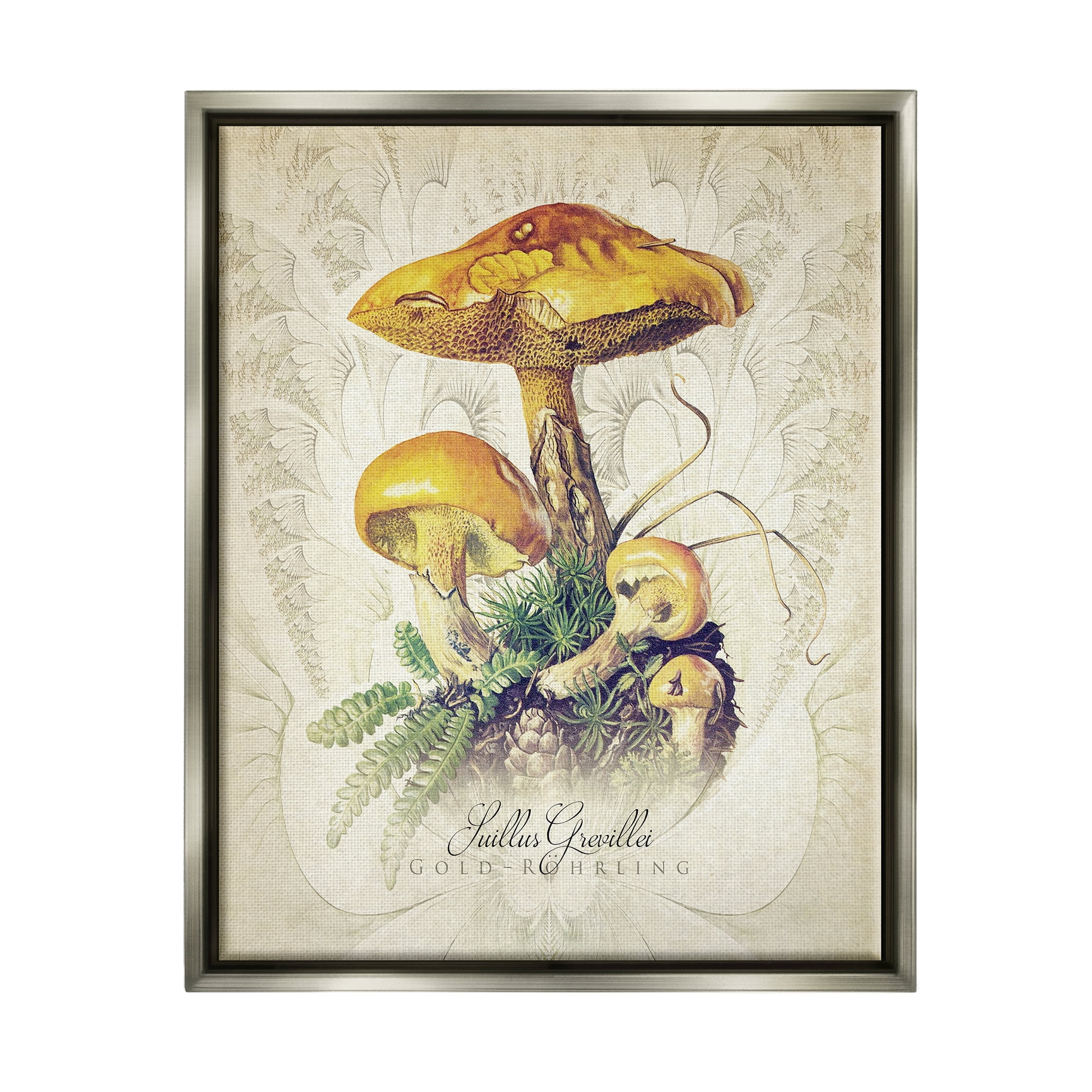 Stupell Industries German Scientific Mushroom Study Botanical & Floral Painting Gray Floater Framed Art Print Wall Art