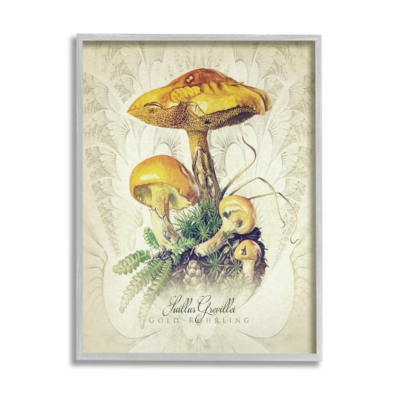 Stupell Industries German Scientific Mushroom Study Botanical & Floral Painting Gray Framed Art Print Wall Art
