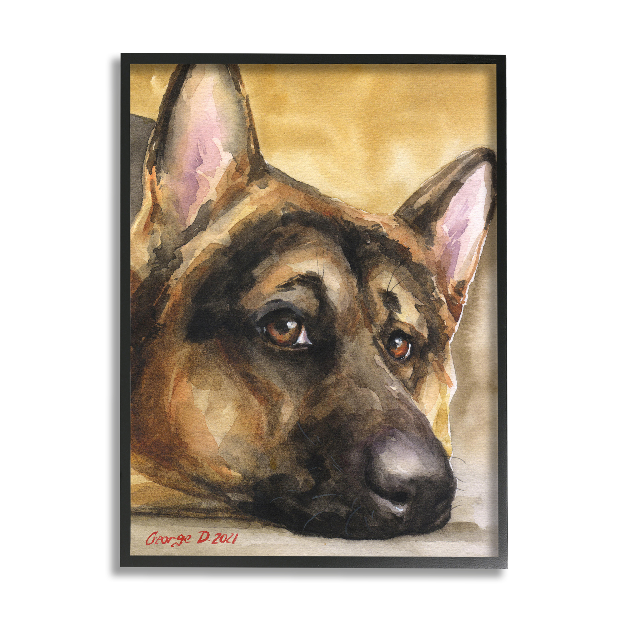 Stupell Industries German Shepherd Dog Sympathetic Gazing Animal Portrait Painting Black Framed Art Print Wall Art, Design by George Dyachenko