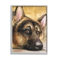 thumbnail image 1 of Stupell Industries German Shepherd Dog Sympathetic Gazing Animal Portrait Painting Gray Framed Art Print Wall Art, Design by George Dyachenko, 1 of 8