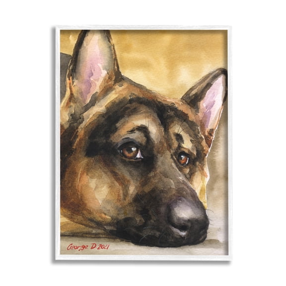 Stupell Industries German Shepherd Dog Sympathetic Gazing Animal Portrait Painting White Framed Art Print Wall Art, Design by George Dyachenko