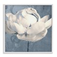 thumbnail image 1 of Stupell Industries Gilded Blue Rose White Framed Giclee Art design by Sophie 6, 24 x 24, 1 of 8