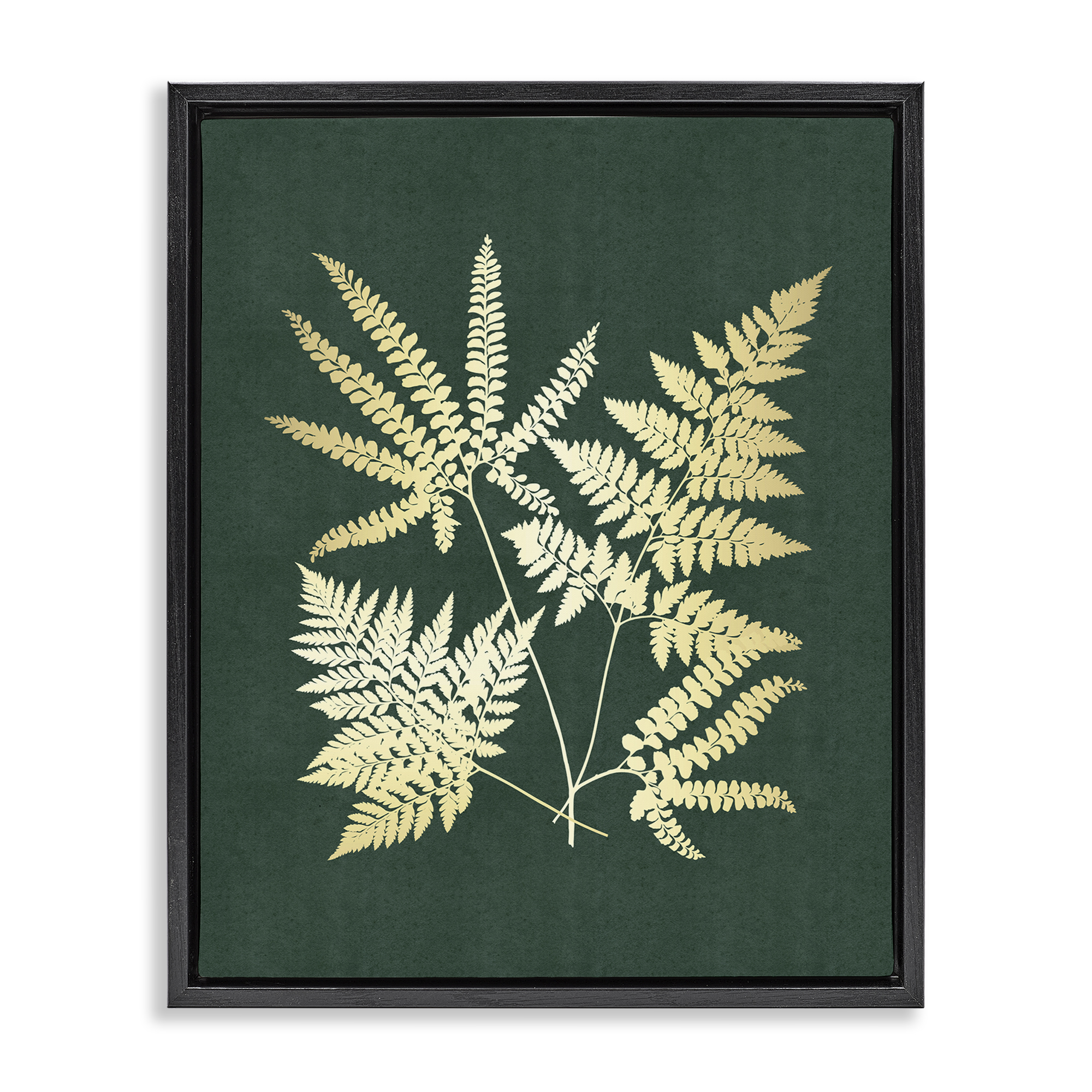 Stupell Industries Gilded Fern Leaves Plants & Flowers Painting Black Floater Framed Canvas Art Print Wall Art, 17 x 21