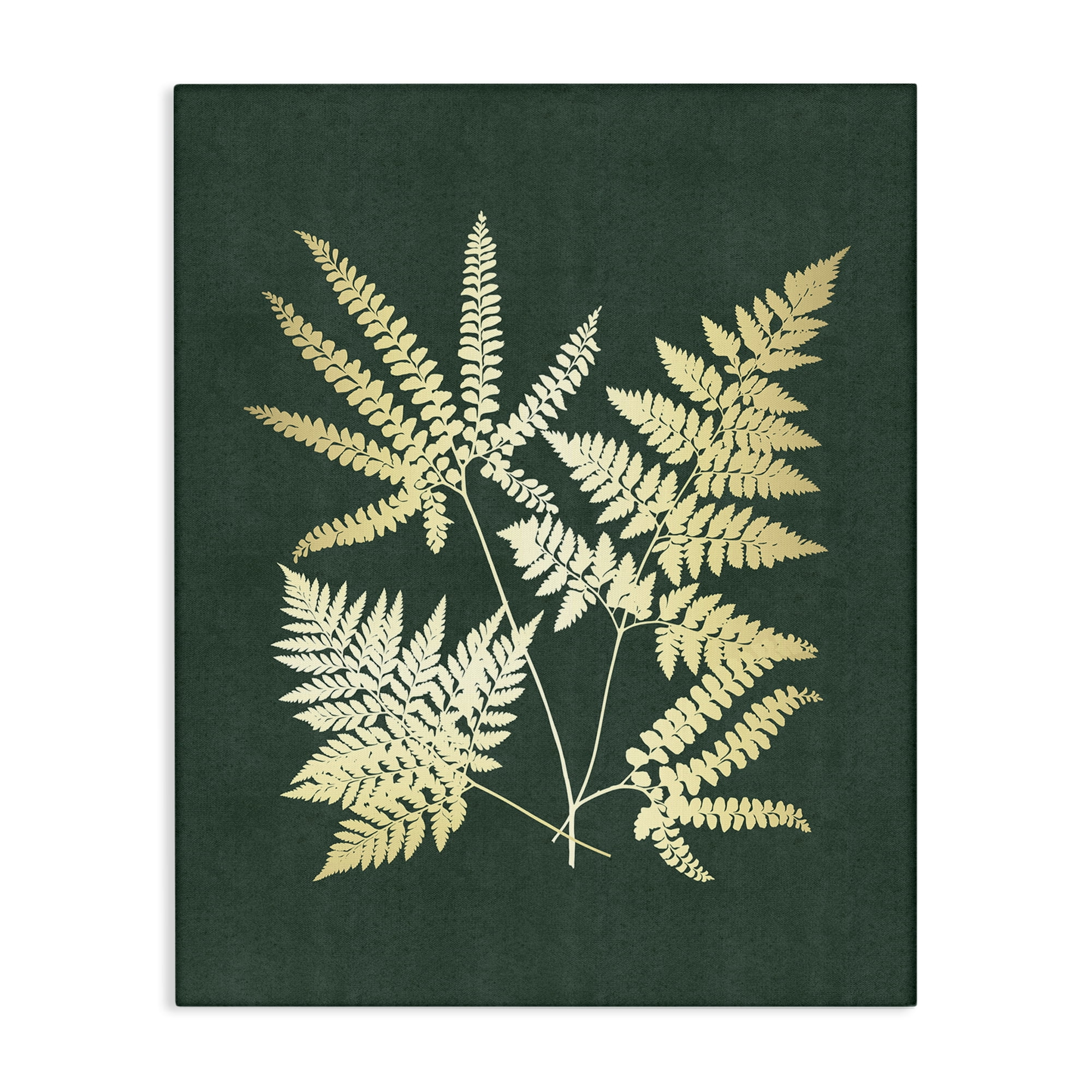 Stupell Industries Gilded Fern Leaves Plants & Flowers Painting Wrapped Canvas Art Print Wall Art, 16 x 20