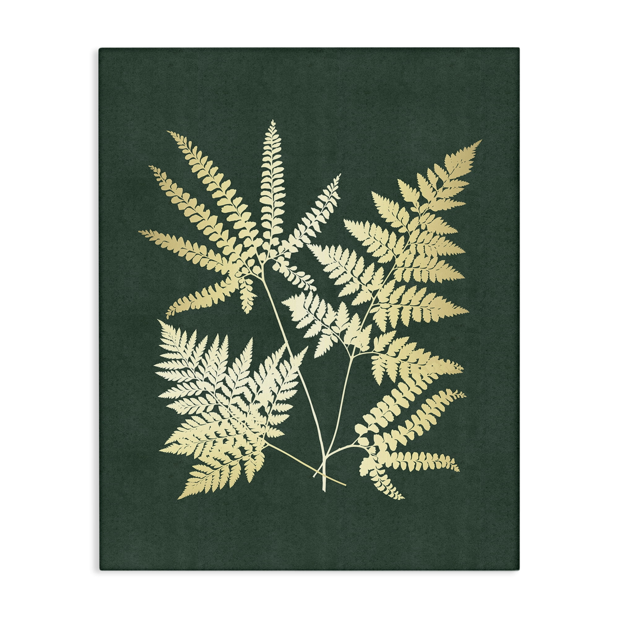 Stupell Industries Gilded Fern Leaves Plants & Flowers Painting Wrapped Canvas Art Print Wall Art, 36 x 48