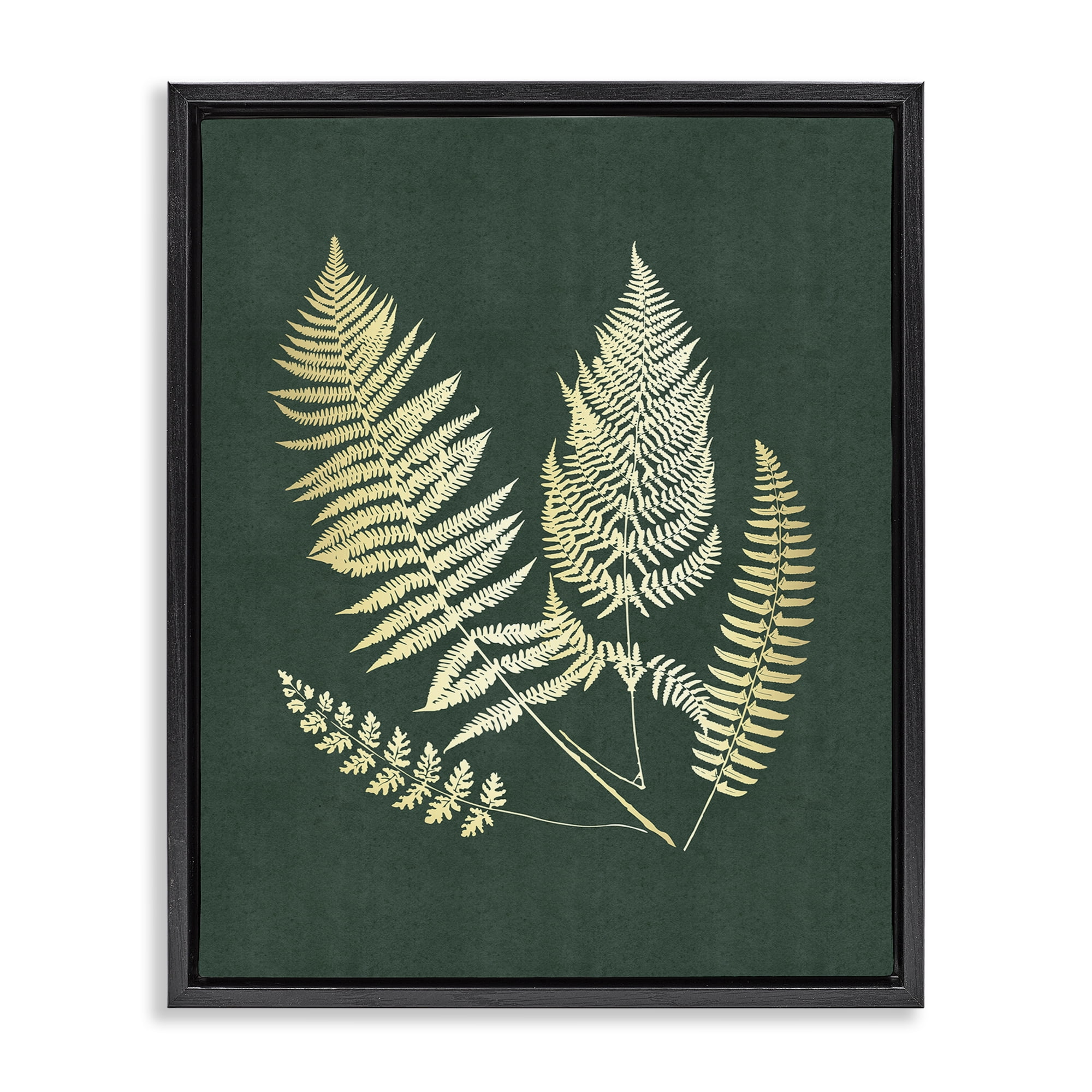 Stupell Industries Gilded Fern Sprigs Plants & Flowers Painting Black Floater Framed Canvas Art Print Wall Art, 25 x 31