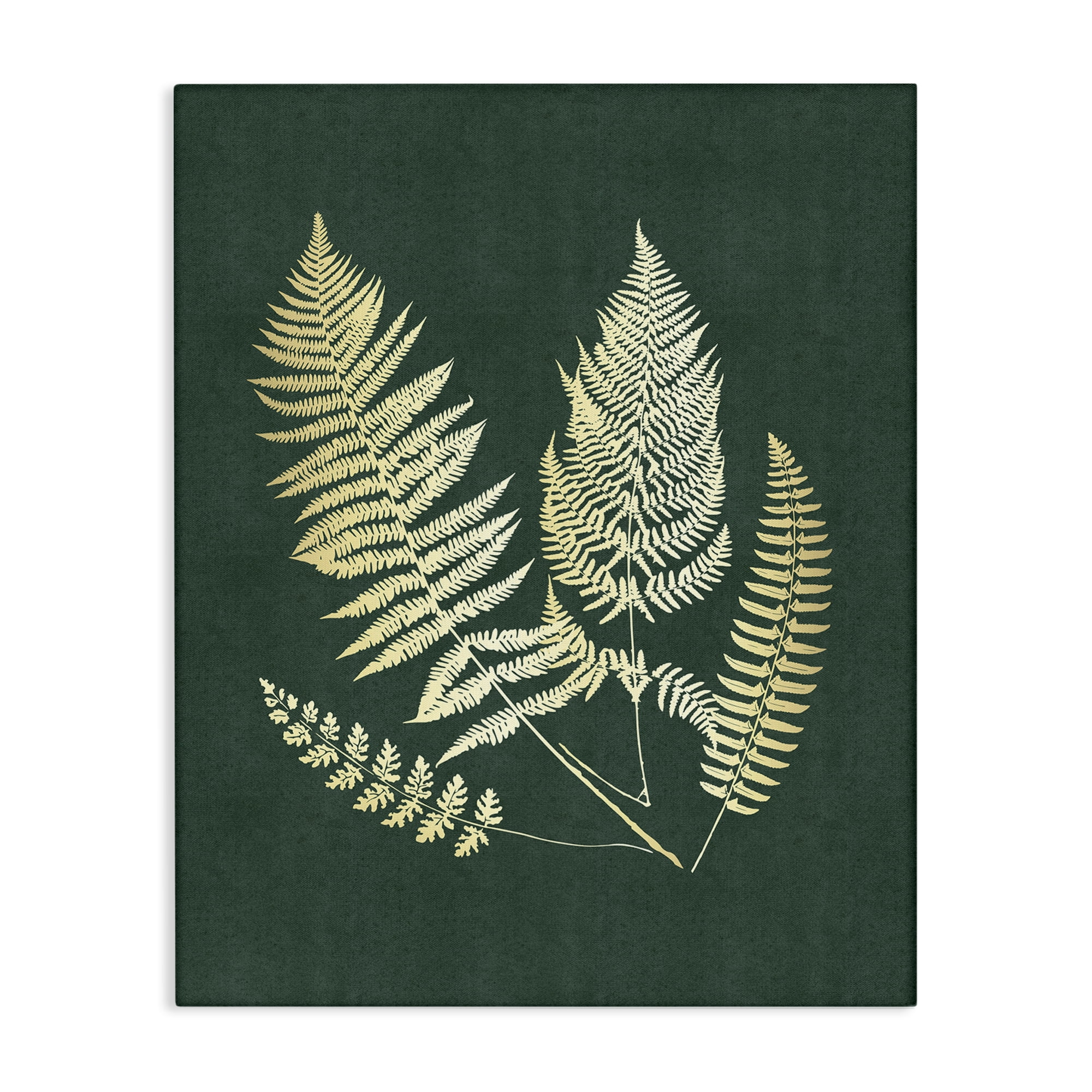 Stupell Industries Gilded Fern Sprigs Plants & Flowers Painting Wrapped Canvas Art Print Wall Art, 16 x 20