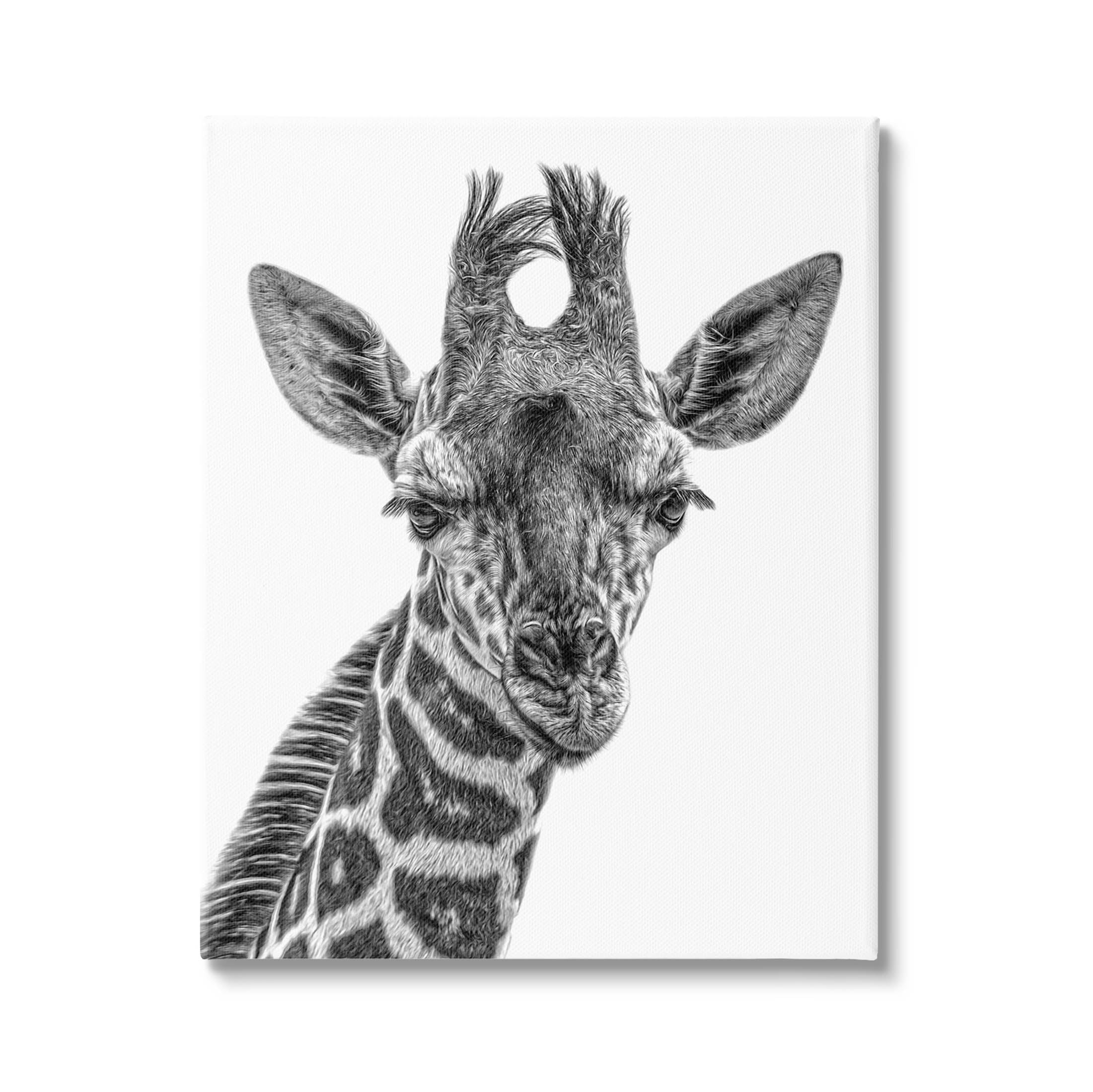 Stupell Industries Giraffe Gazing Wildlife Portrait Photograph Gallery Wrapped Canvas Print Wall Art, Design by Kelley Parker