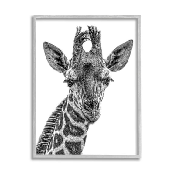 Stupell Industries Giraffe Gazing Wildlife Portrait Photograph Gray Framed Art Print Wall Art, Design by Kelley Parker