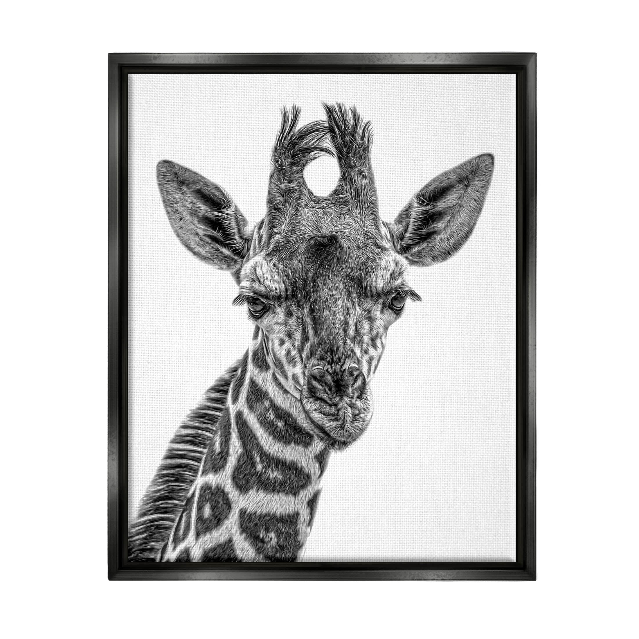 Stupell Industries Giraffe Gazing Wildlife Portrait Photograph Jet Black Floating Framed Canvas Print Wall Art, Design by Kelley Parker