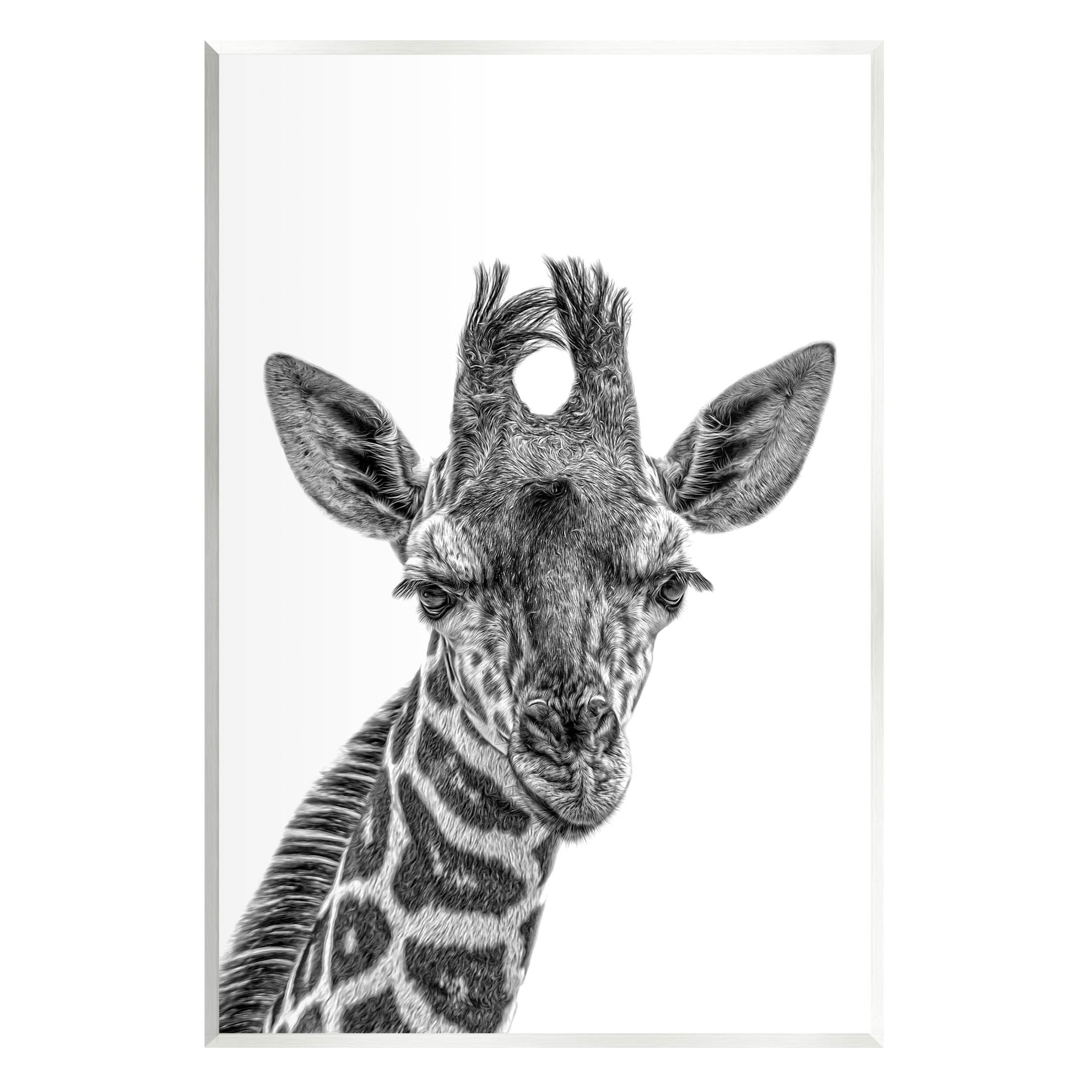 Giraffe Gazing Wildlife Portrait 10x15 MDF Wall Art