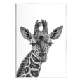 thumbnail image 1 of Stupell Industries Giraffe Gazing Wildlife Portrait Photograph Unframed Art Print Wall Art, Design by Kelley Parker, 1 of 6