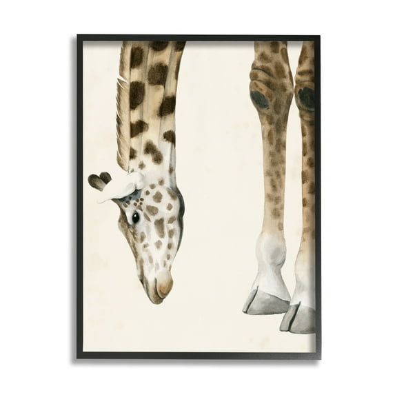 Stupell Industries Giraffe Grazing Safari Animal Hoof Detail Black Framed by Grace Popp