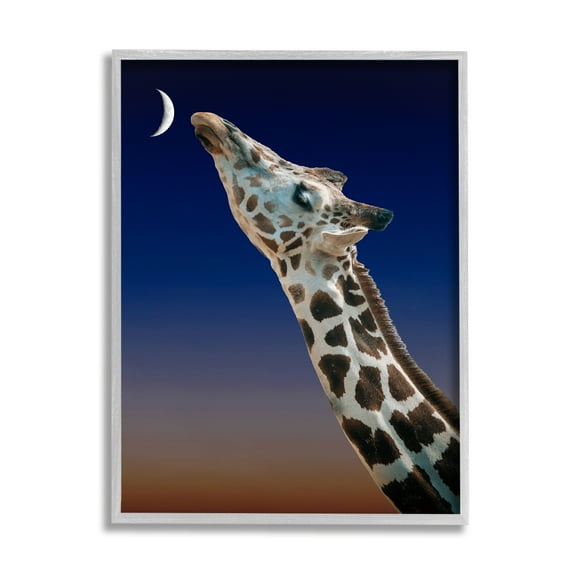 Stupell Industries Giraffe Kissing Moon Nighttime Sunset Beautiful Portrait , 11 x 14, Design by Atelier Posters