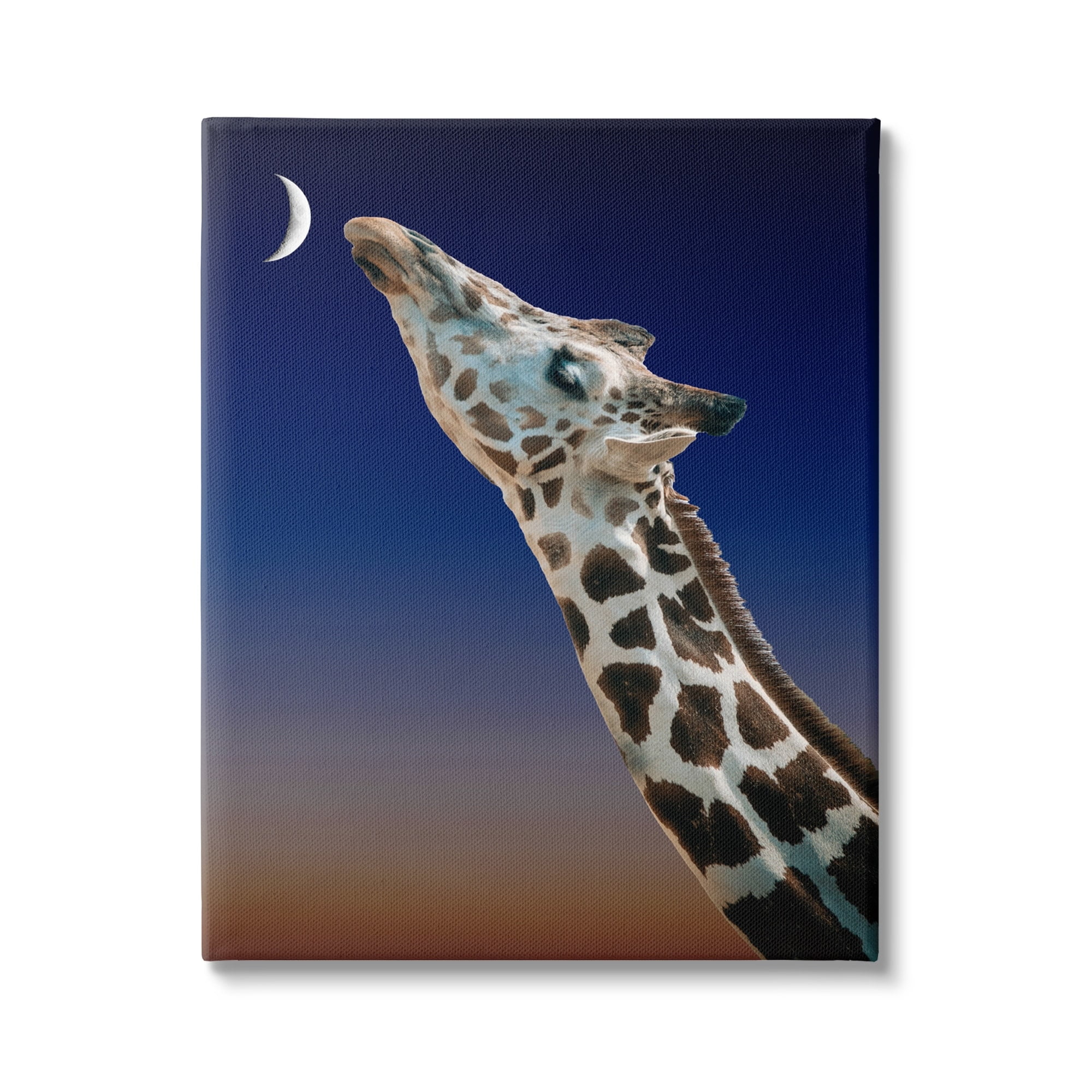 Stupell Industries Giraffe Kissing Moon Nighttime Sunset Beautiful Portrait , 16 x 20, Design by Atelier Posters