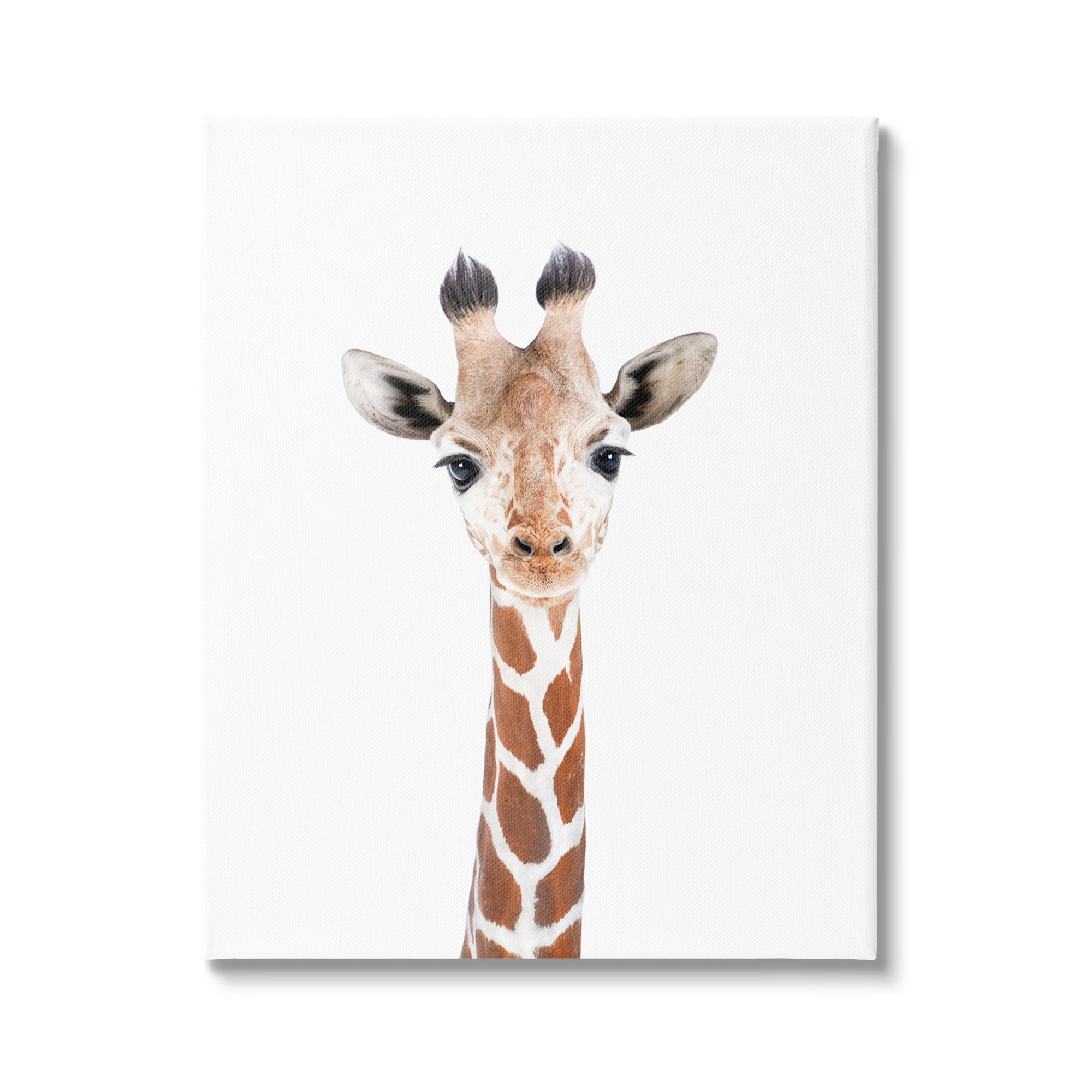 Stupell Industries Giraffe on White Portrait Animals & Insects Painting Gallery Wrapped Canvas Print Wall Art, 30 x 40