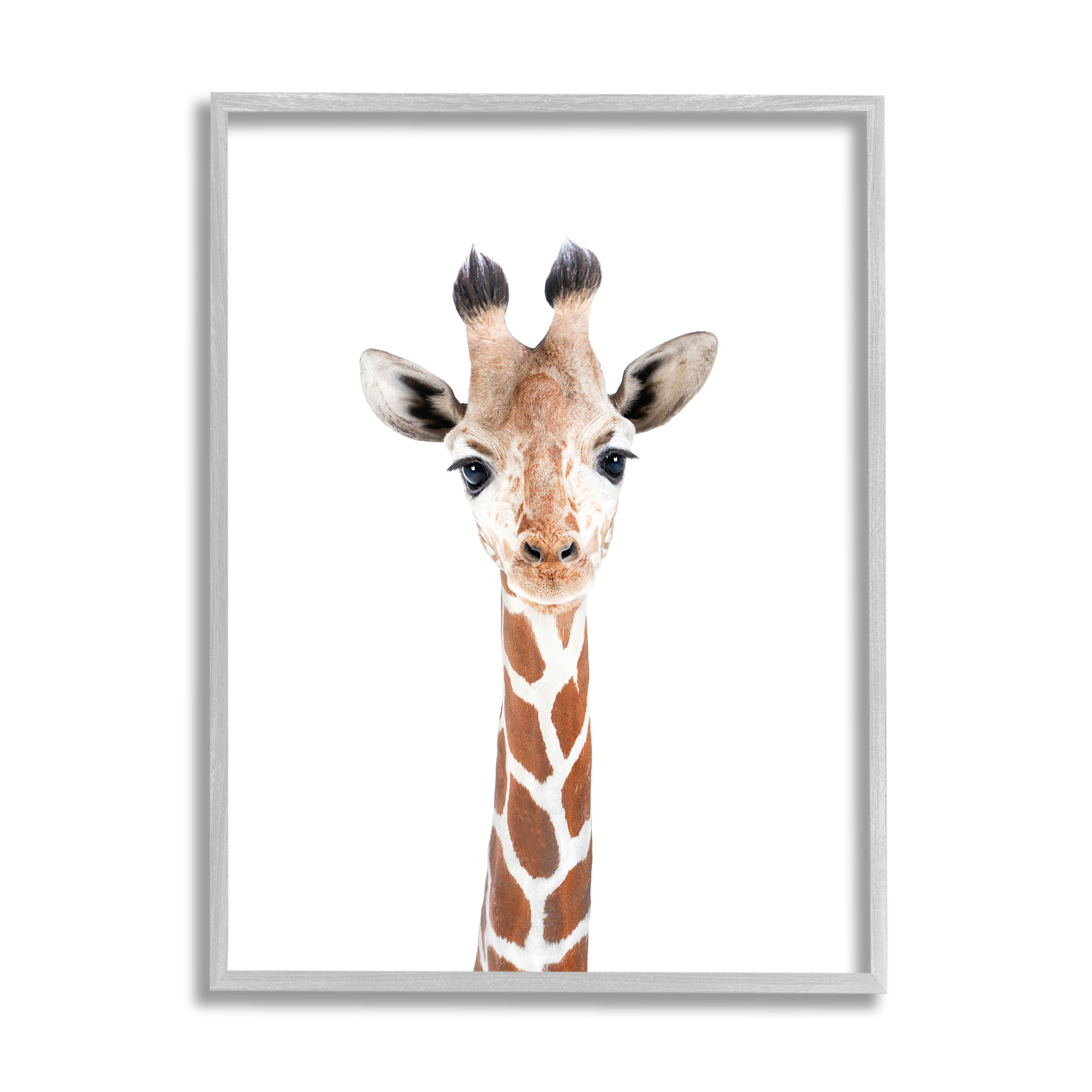Stupell Industries Giraffe on White Portrait Animals & Insects Painting Gray Framed Art Print Wall Art, 16 x 20