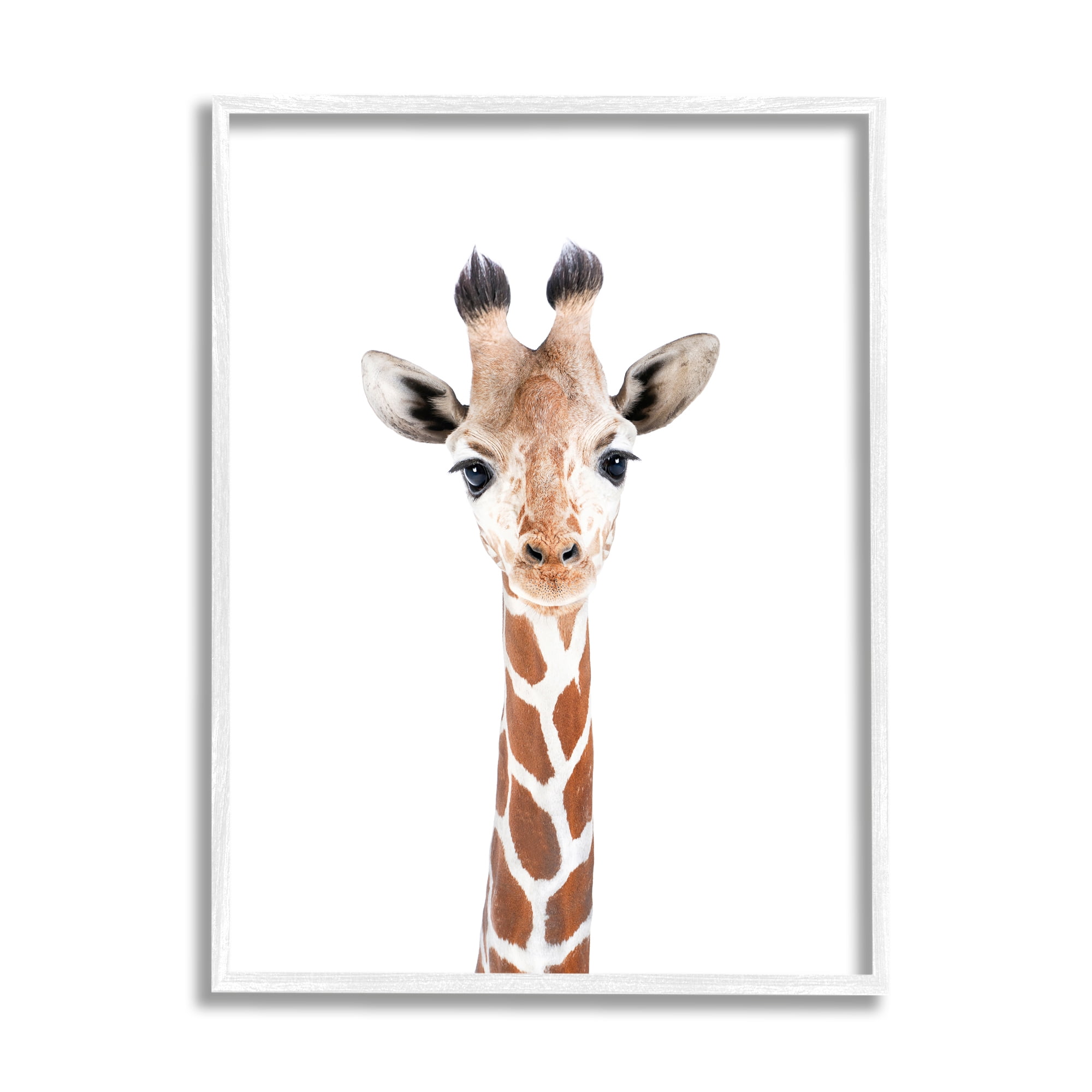 Stupell Industries Giraffe on White Portrait Animals & Insects Painting White Framed Art Print Wall Art, 24 x 30