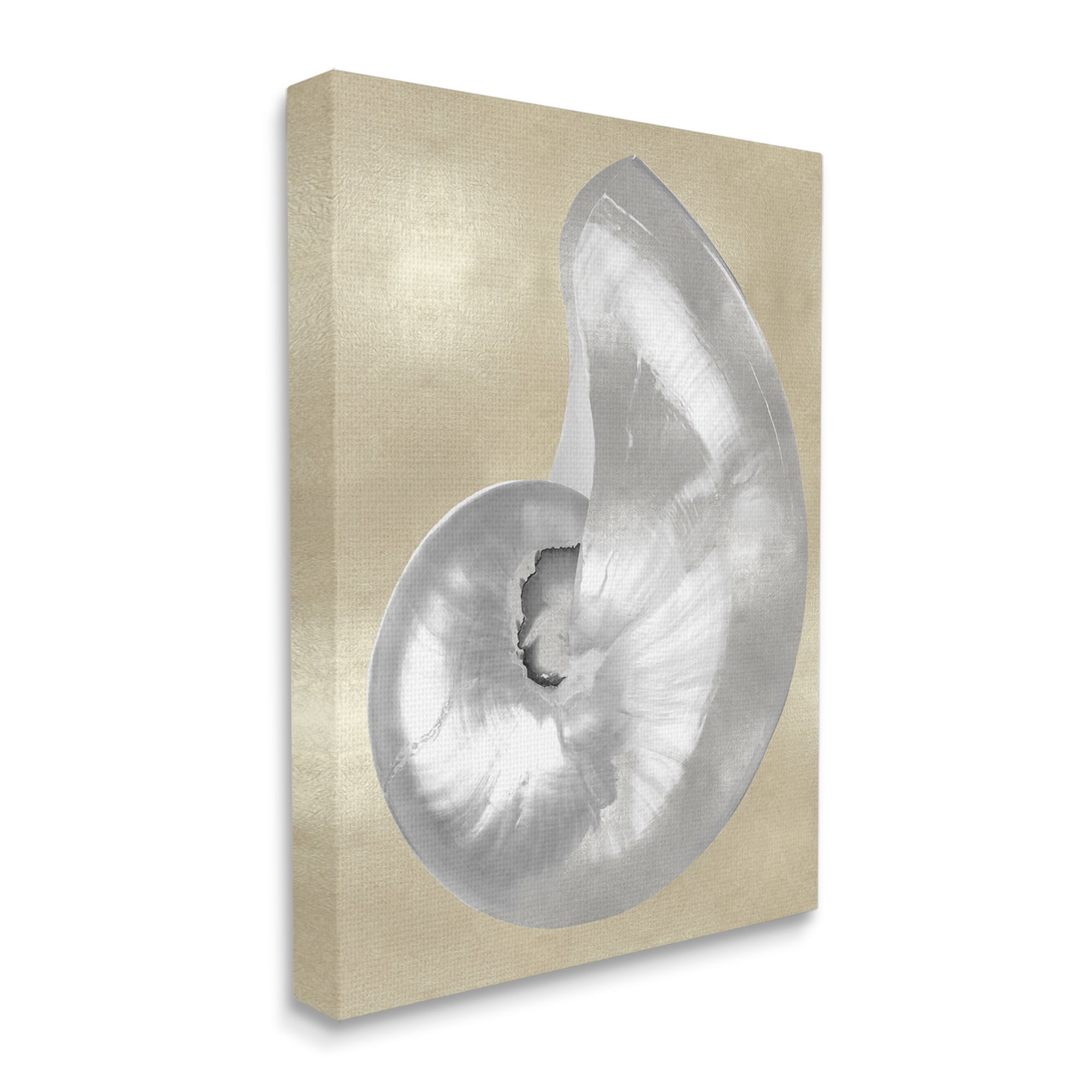 Stupell Industries Glam Nautilus Shell Soft Grey Neutral over Beige Nature Painting Gallery Wrapped Canvas Art Print Wall Art, 24 x 30