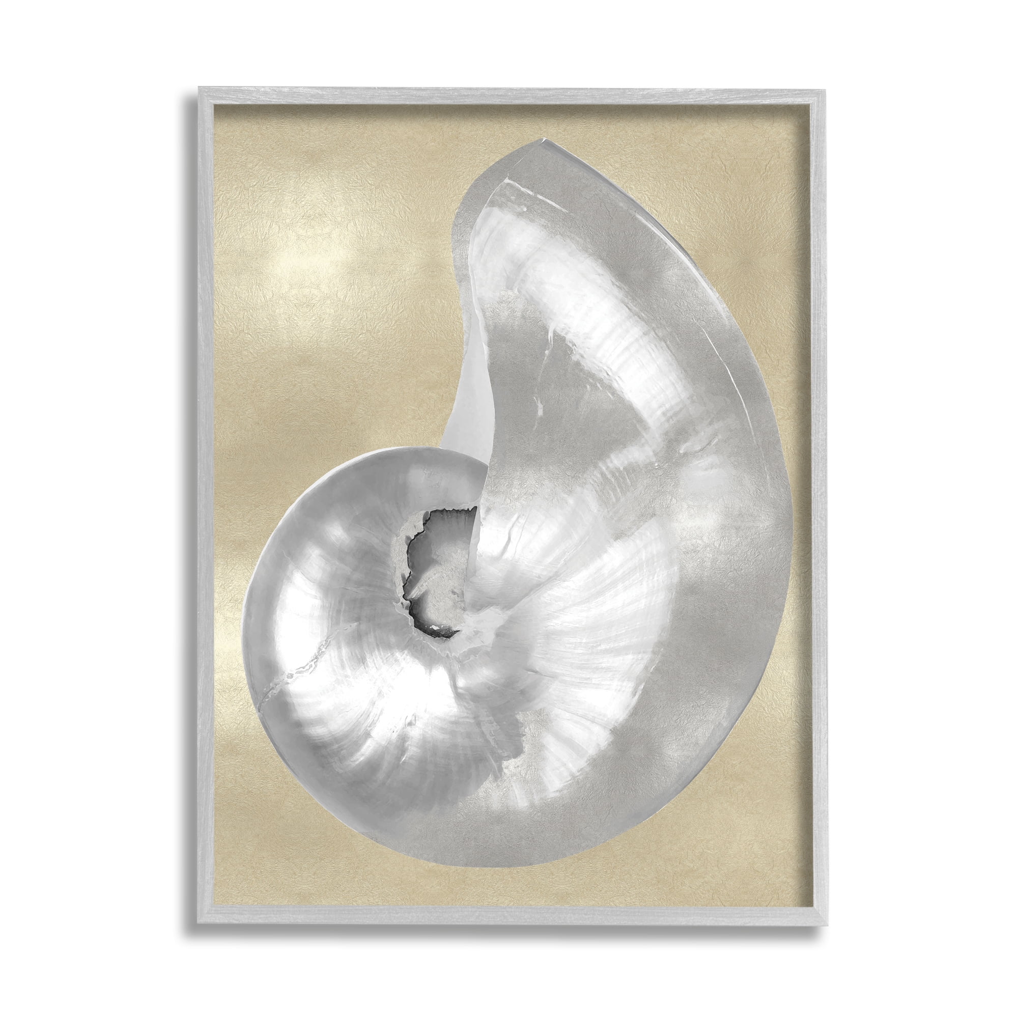 Glam Nautilus Shell Gray and Beige Canvas Print with Frame