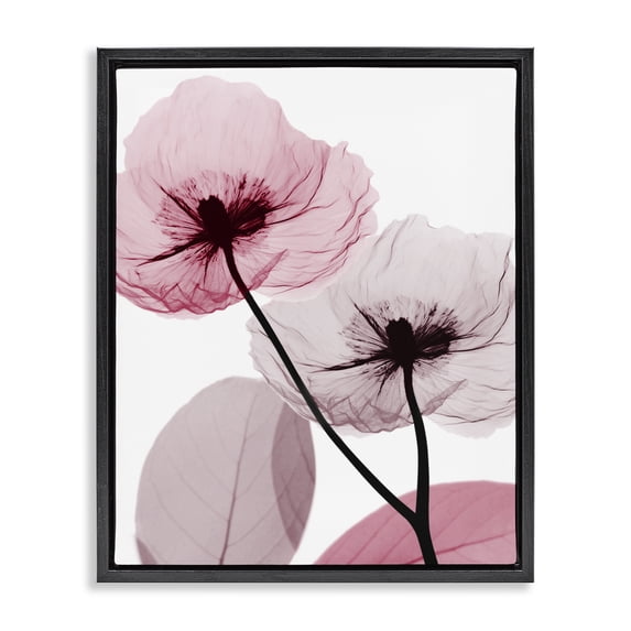 Stupell Industries Glam Pink Poppy Flowers Black Floating Frame Canvas Art, 17 x 21, by Albert Koetsier