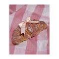 thumbnail image 1 of Stupell Industries Glam Glam Ribbon Croissant Canvas Art, 16 x 20, by LISH Creative, 1 of 8