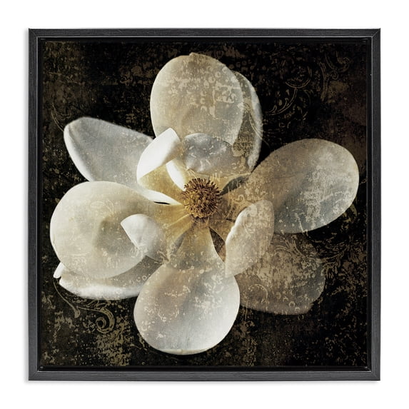 Stupell Industries Glam Rustic Patterned Magnolia Black Floating Frame Canvas Art, 18 x 18, by John Seba